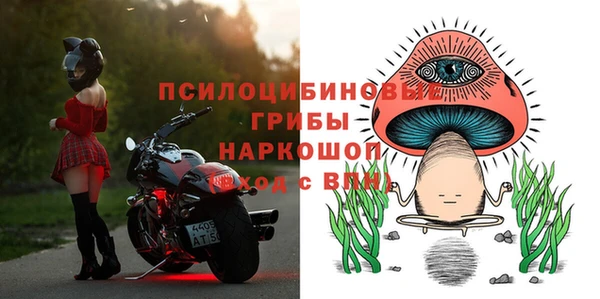 прущая мука Абаза